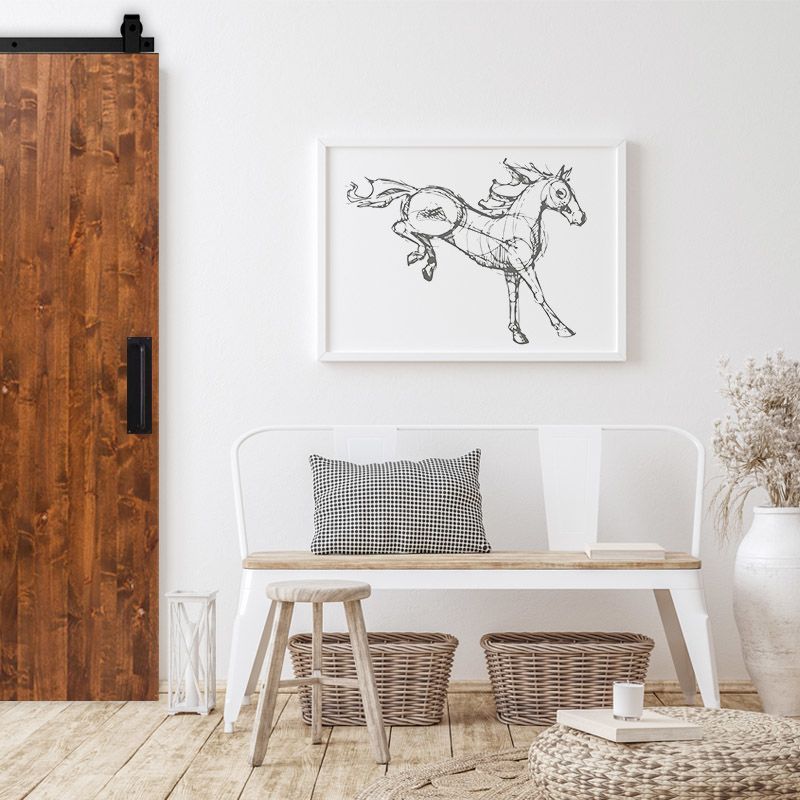 Modern Slab Barn Door Rustica